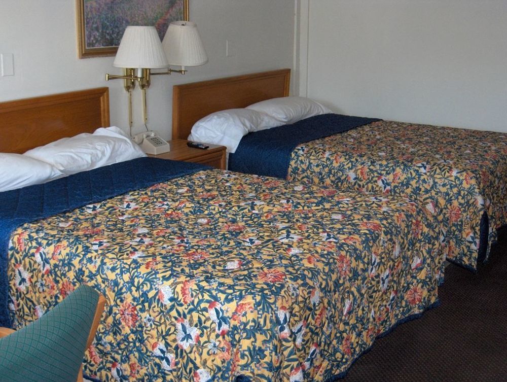 Executive Inn Jacksonville Zimmer foto
